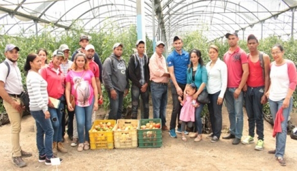 Idiaf y cooperación agrícola coreana capacitan en cultivo intensivo de tomate