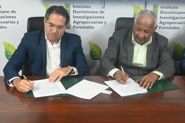 IDIAF y DR Cocoa Foundation establecen alianza estrat&eacute;gica para fortalecer el sector cacaotero dominicano