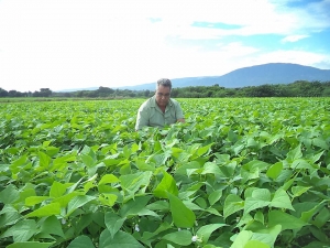 En últimos 6 años, Idiaf ejecutó 146 proyectos agrícolas