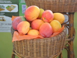 Dominicanos apoyan celebración de la feria “Expo Mango 2019”