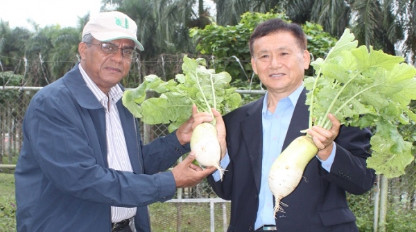 Cooperación coreana e Idiaf presentan vegetales coreanos introducidos al país