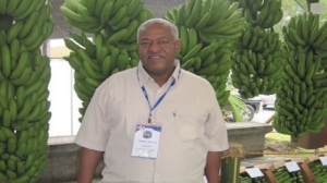 Investigador dominicano presidirá la red latinoamericana de musáceas