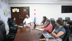 Idiaf y cooperación agrícola francesa coordinan investigación en cacao