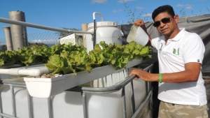 Idiaf apoya programas de maestría en acuicultura y acuaponía de la Universidad ISA