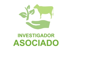 Investigadores Asociados